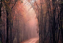 极速体育：CBA社交圈：许利民冲击积分更高名次 广东官宣终止库克合同.