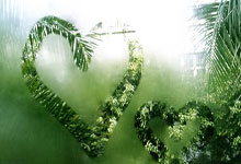 极速体育：[CBA]布朗击地传球 胡金秋跟进上篮轻取两分.