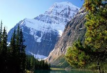 [图]亚冠-马莱莱屡失良机 申花1-2遭蔚山逆转.