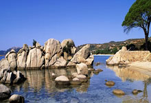 [CBA]常规赛1月19日：浙江VS辽宁 弗格集锦.